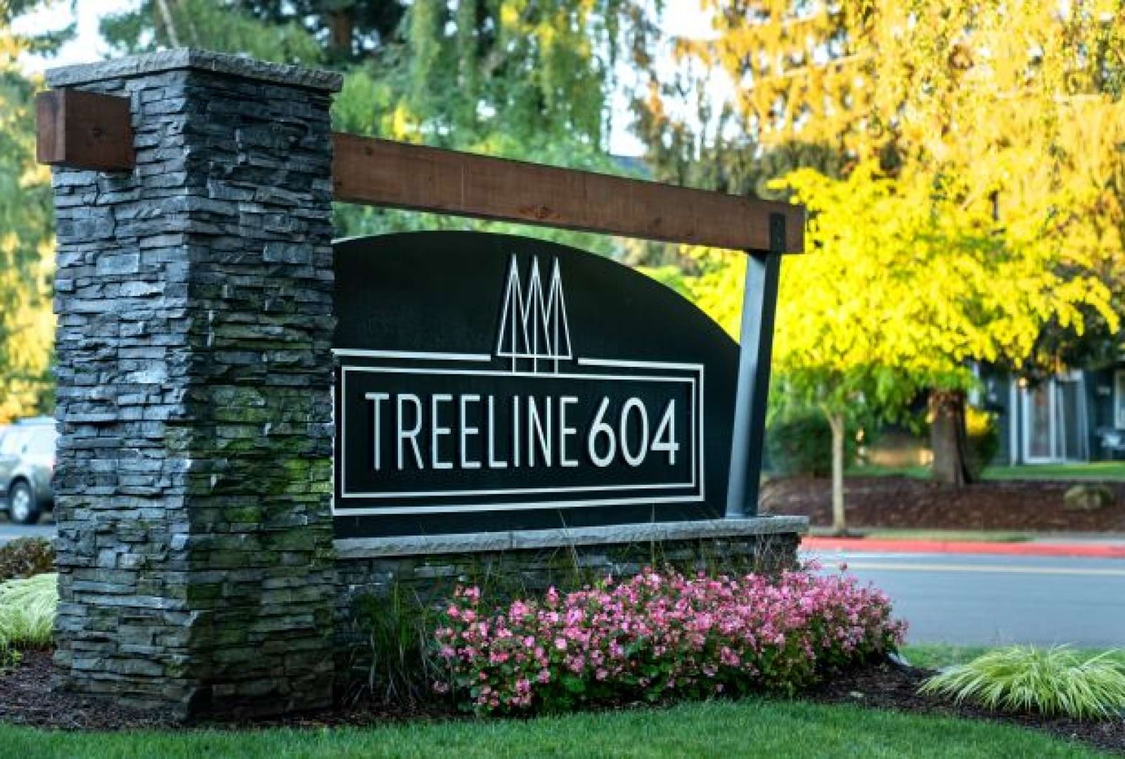 Welcome Home to Treeline604